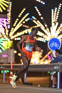 BIB: 0000, 00000, 42553
                            <button type="button" onclick="openModal(23140608)" class="btn btn-primary btn-sm float-right btn-popup" data-toggle="modal" data-target=".modal-high-quality">
                        <i class="fas fa-shopping-cart"></i> Add to Cart
                    </button>
                                            <button type="button" onclick="isThisMe(23140608, true)" class="btn btn-success btn-sm float-right btn-popup btn-isme hidden" data-toggle="tooltip" data-placement="bottom" title="นี่คือรูปของคุณใช่ไหม คลิกที่นี่เพื่อเอาเข้าอัลบั้ม">
                        <i class="fas fa-plus"></i> Add to album
                    </button>
                    <button type="button" onclick="isThisMe(23140608, false)" class="btn btn-warning btn-sm float-right btn-popup btn-isnotme hidden">
                        <i class="fas fa-ban"></i> Remove from album
                    </button>